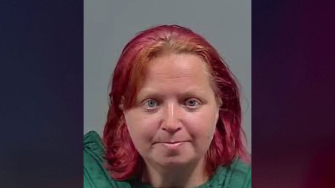 Florida woman who allegedly told child to kill newborn via a video game takes plea deal