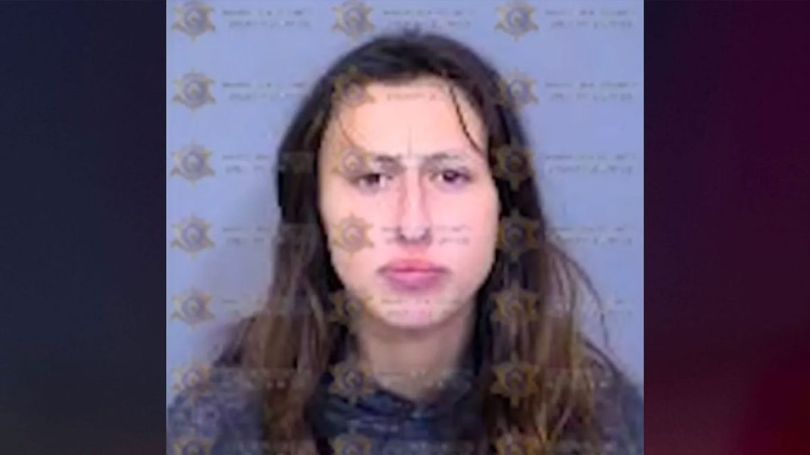 Woman accused of abducting 3-year-old claimed she was her long-lost daughter