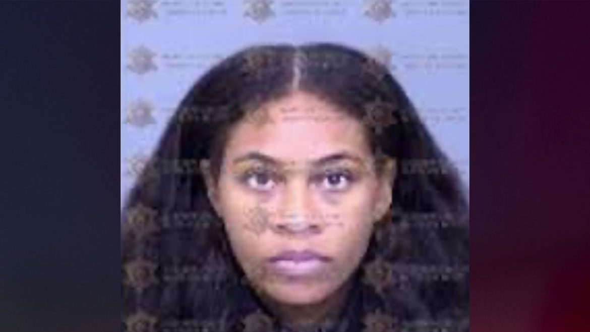 Woman allegedly stabbed fellow train passenger 14 times with steak knife