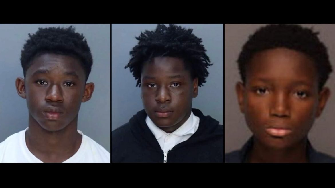 3 boys, ages 12, 13, and 15, charged as adults for allegedly raping girl at community garden