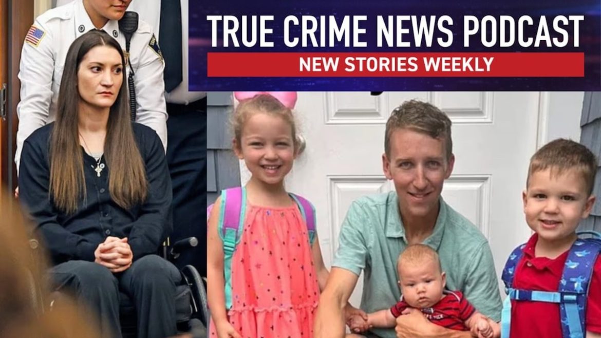 Psychosis or calculated crime? Mother accused of strangling 3 children pleads insanity